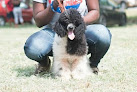 Winniespooches petshop