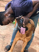 Core Veterinary Service