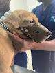 Animal Planet Vet Care