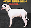 Hero's Kennel