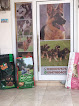 Cee`s Petshop