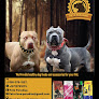 Petz Paradise