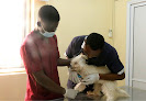 Koney’s Veterinary Hospital