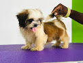Adanfopa Petcare