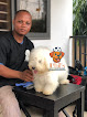 Phil’s Pet Grooming Services