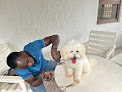 Thrive Pet Veterinary & Grooming Services